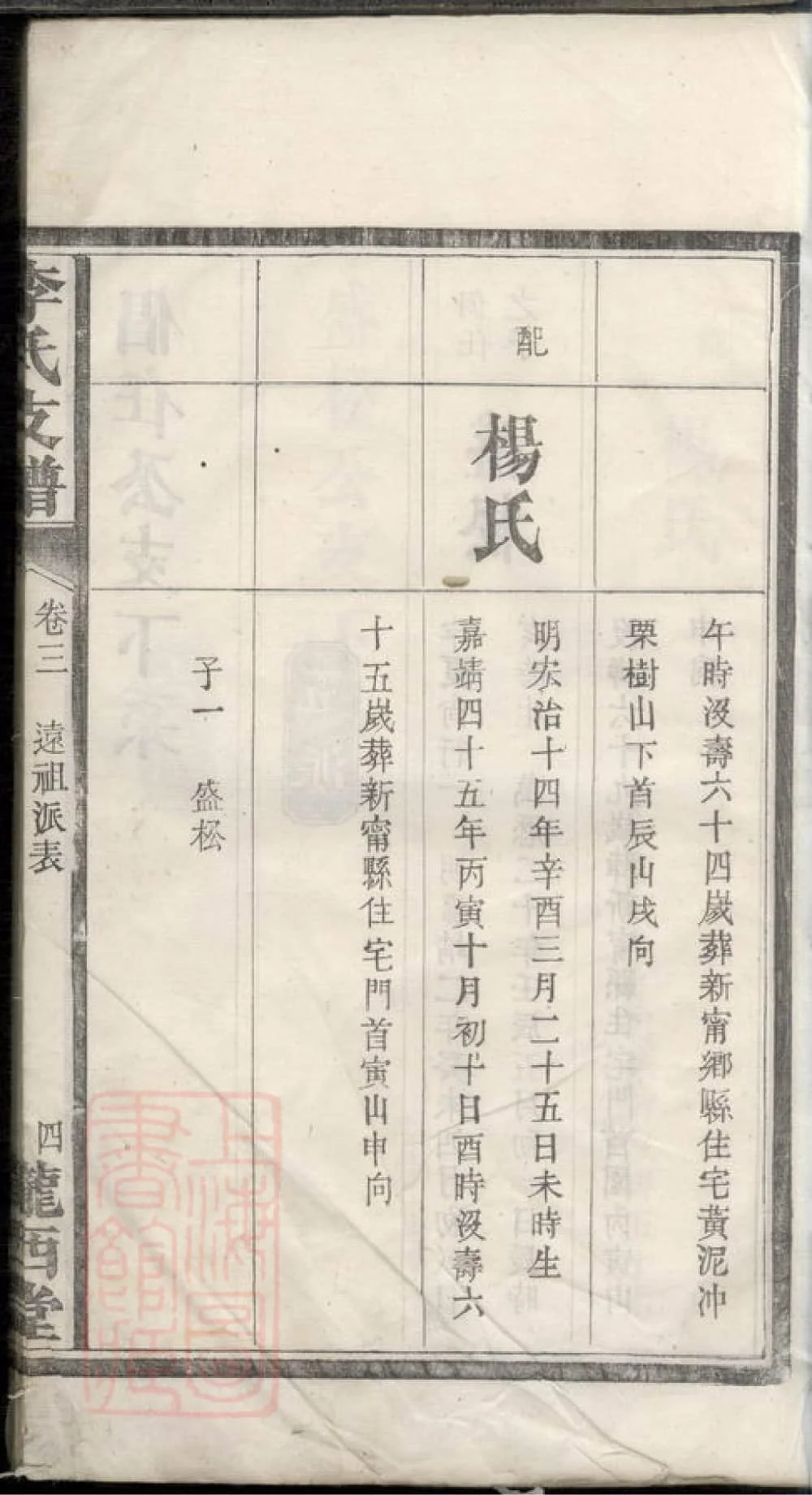 图片[8]-湖南邵阳新宁楚甯李氏续修支谱（陇西堂）电子版PDF下载-中华家谱网