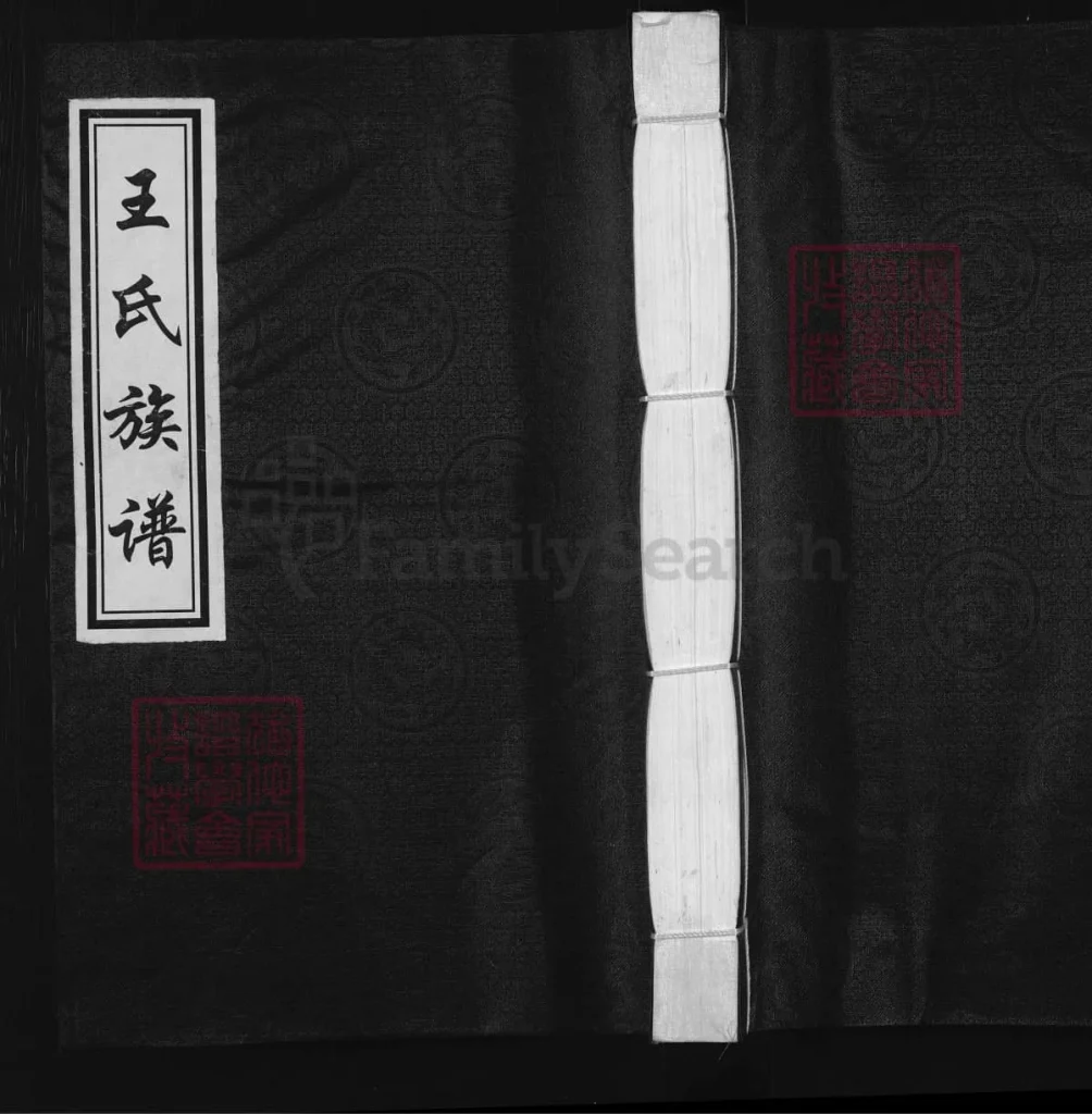 图片[1]-河北沧州沧县王氏族谱电子版PDF下载-中华家谱网