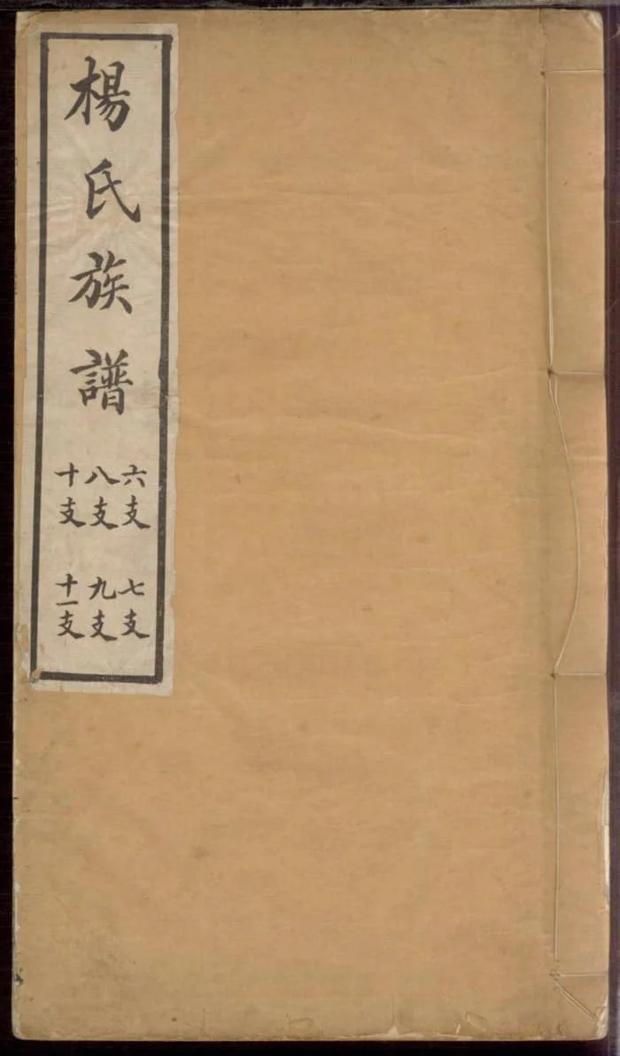 图片[1]-山东安丘杨氏族谱电子版PDF下载-中华家谱网