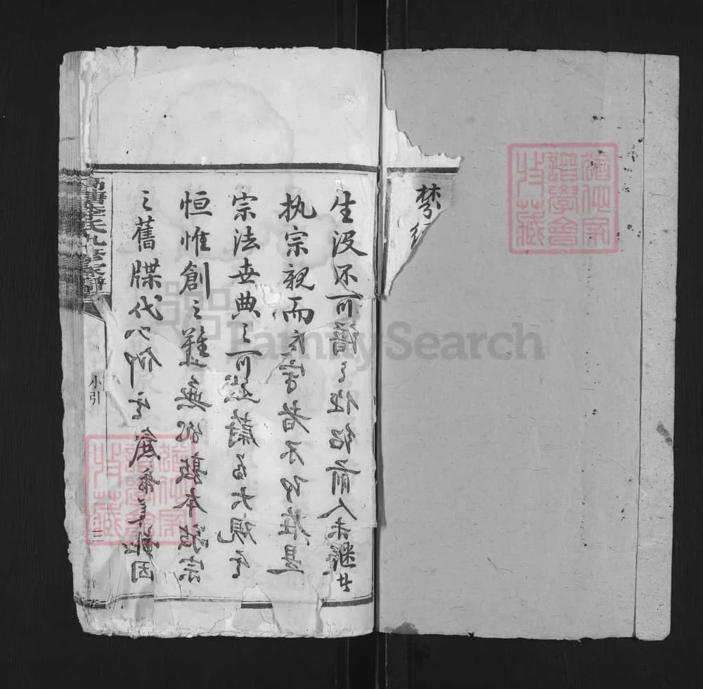 图片[2]-湖南湘潭高塘李氏九修家谱电子版PDF下载-中华家谱网