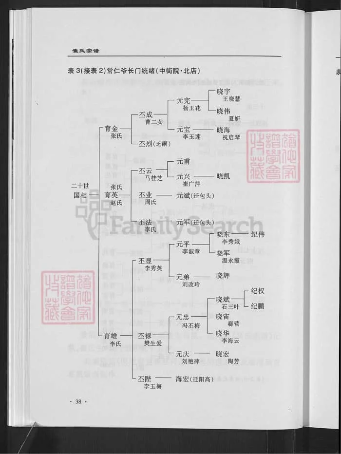 图片[8]-山西朔州山阴县高山疃崔氏宗谱PDF下载-中华家谱网