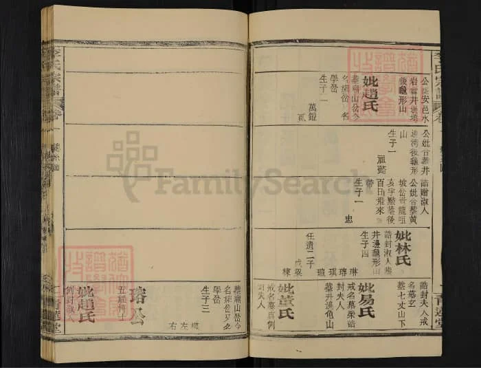 图片[5]-湖北黄冈楚黄李氏宗谱（青莲堂）电子版PDF下载-中华家谱网