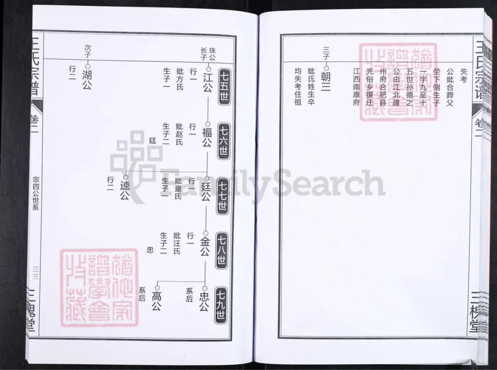 图片[7]-安徽合肥王氏宗谱（三槐堂，彦二）电子版PDF下载-中华家谱网