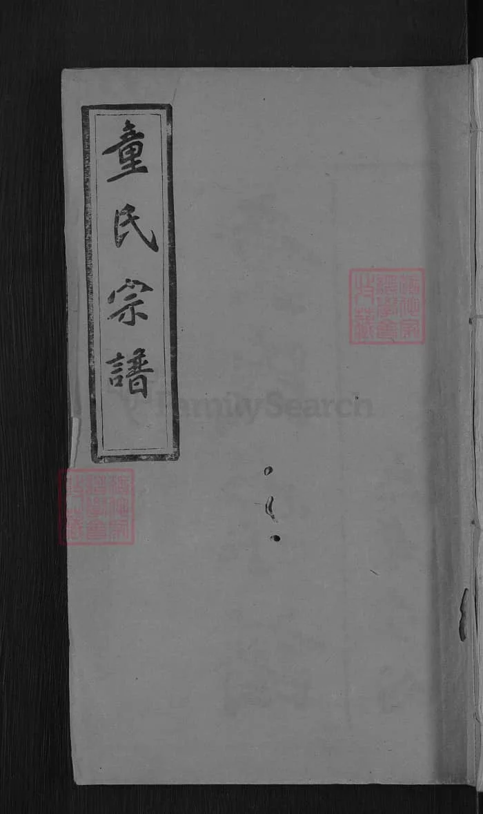 图片[1]-湖北黄冈童氏宗谱（忠孝堂）PDF下载-中华家谱网