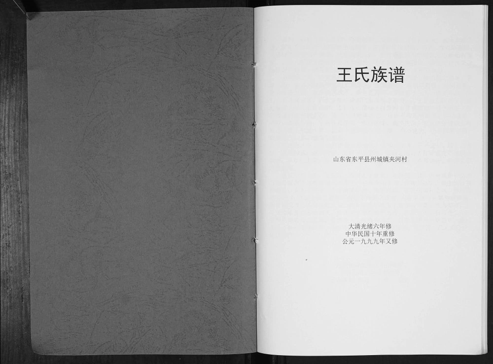 图片[2]-山东泰安东平县王氏族谱电子版PDF下载-中华家谱网