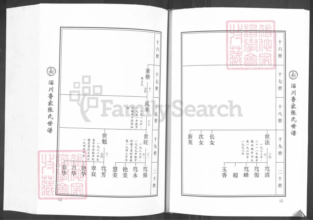 图片[8]-山东淄博淄川鲁家村张氏世谱电子版PDF下载-中华家谱网