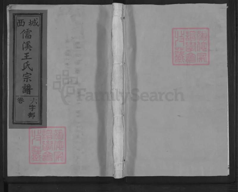 江西上饶城西儒溪王氏宗谱-中华家谱网