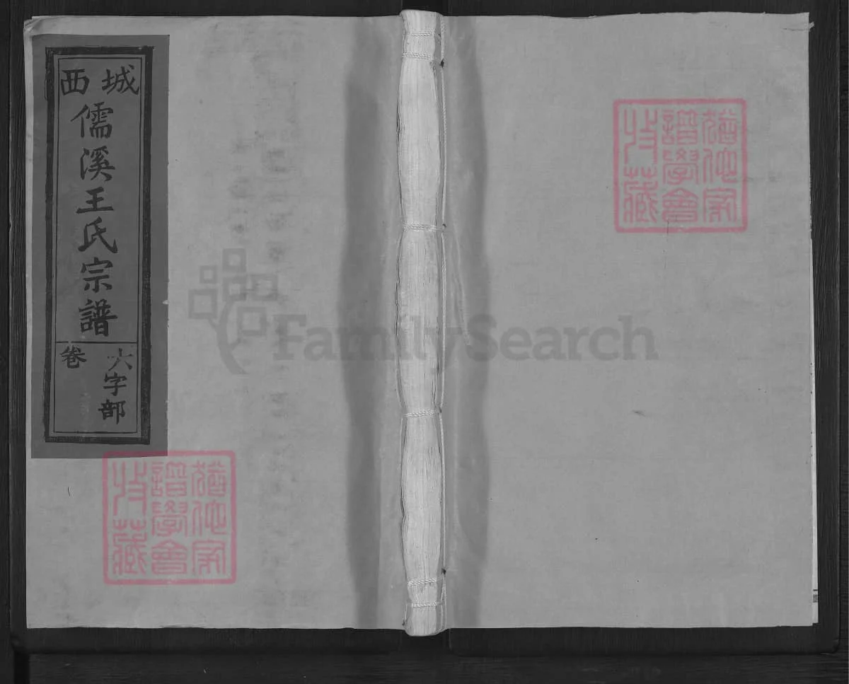 江西上饶城西儒溪王氏宗谱电子版PDF下载-中华家谱网