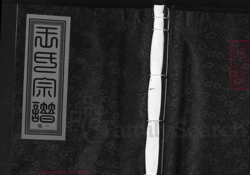 江西乐亭太原王氏宗谱-中华家谱网
