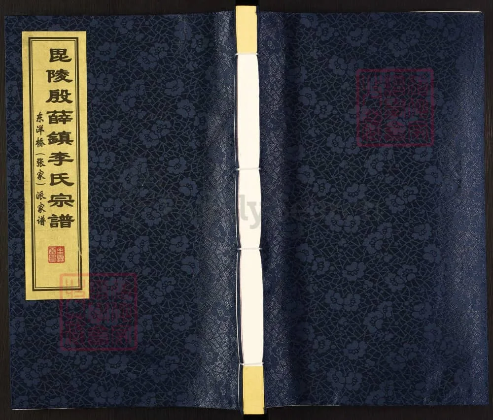 图片[1]-江苏常州毗陵殷薛镇李氏宗谱（垂裕堂）电子版PDF下载-中华家谱网