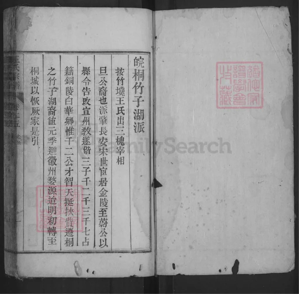 图片[3]-安徽桐城竹子湖王氏宗谱电子版PDF下载-中华家谱网