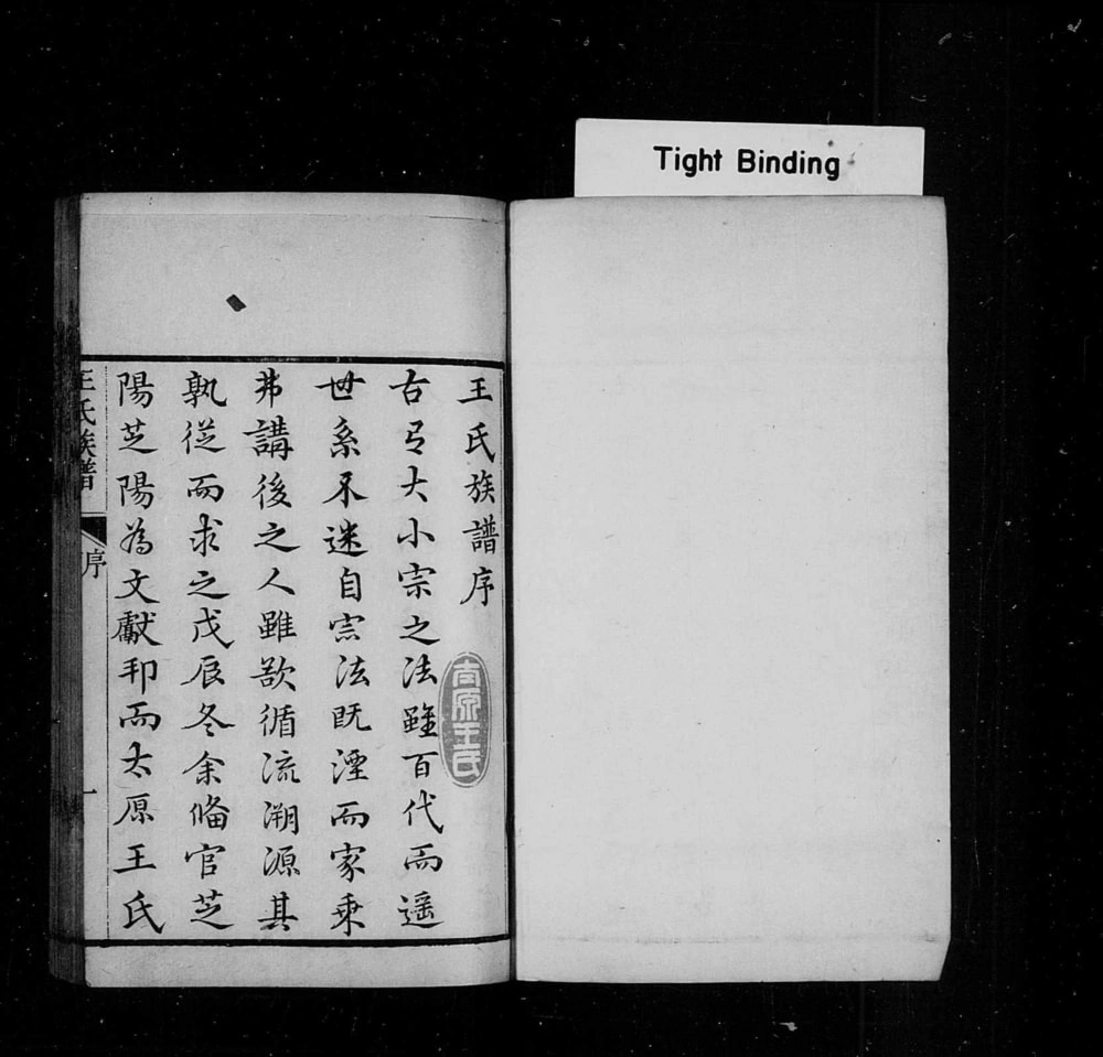 图片[2]-山东龙口黄县太原王氏族谱电子版PDF下载-中华家谱网