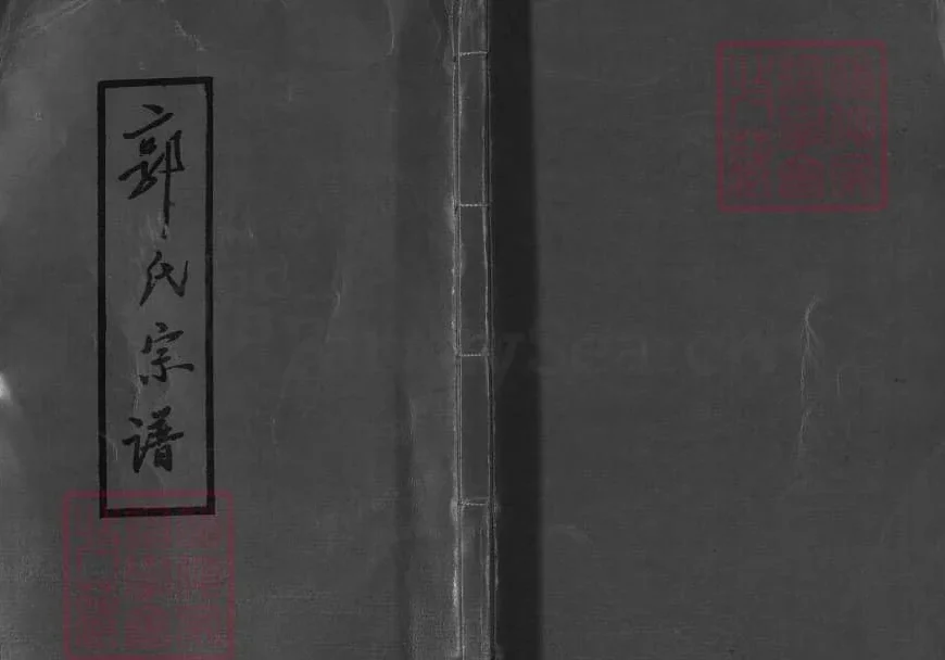 湖南郴州郭氏宗谱（敦本堂）电子版PDF下载-中华家谱网