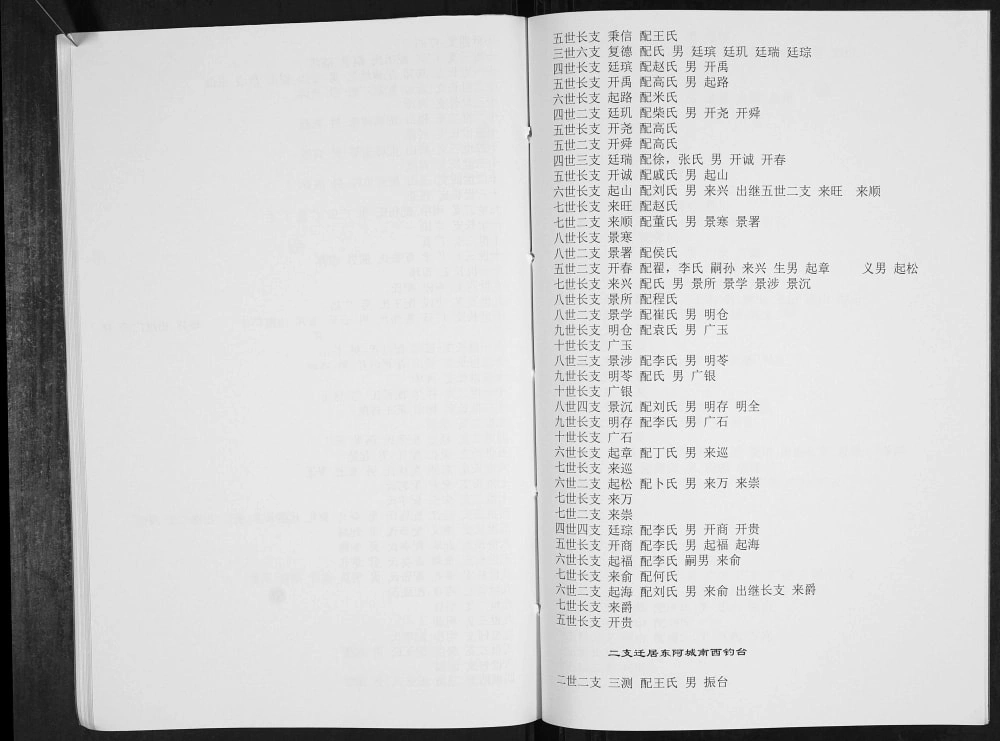 图片[5]-山东泰安东平县王氏族谱电子版PDF下载-中华家谱网