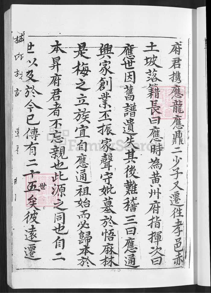 图片[5]-梅氏宗谱（湖北武汉黄陂陂南篇）PDF下载-中华家谱网
