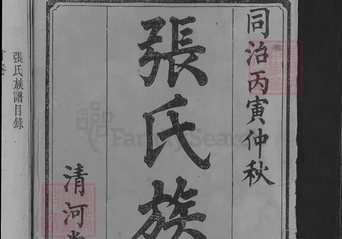 湖南益阳安化张氏续修族谱（清河堂）PDF下载-中华家谱网