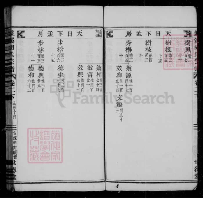 图片[8]-浙江丽水缙云盘溪胡氏宗谱（世德堂）PDF下载-中华家谱网