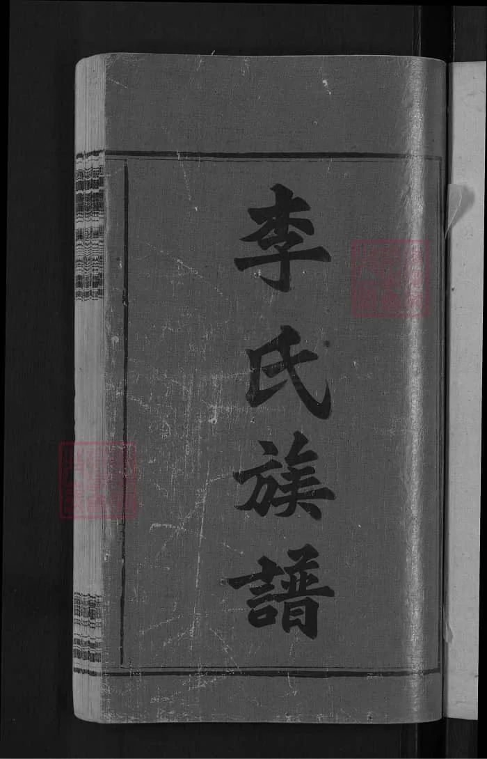 图片[2]-湖南湘乡上湘湖山李氏续修族谱（陇西堂）PDF下载-中华家谱网