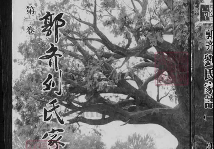 山东潍坊昌乐郭齐刘氏家谱PDF下载-中华家谱网