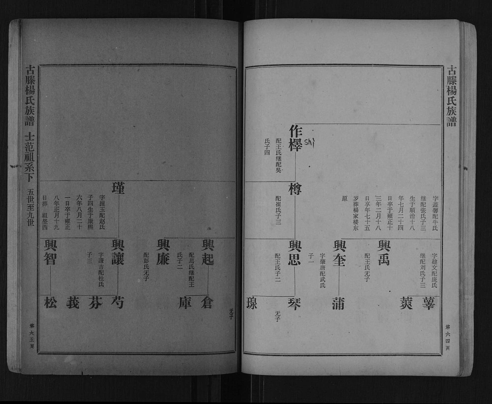 图片[8]-山东滕州古滕杨氏族谱电子版PDF下载-中华家谱网