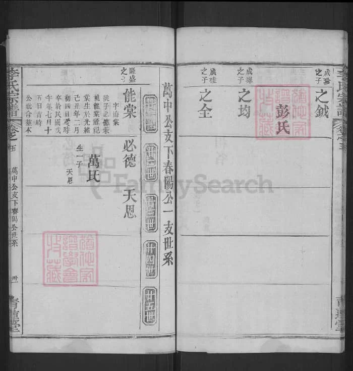 图片[8]-湖北麻城李氏宗谱（青莲堂，民国36年本）电子版PDF下载-中华家谱网