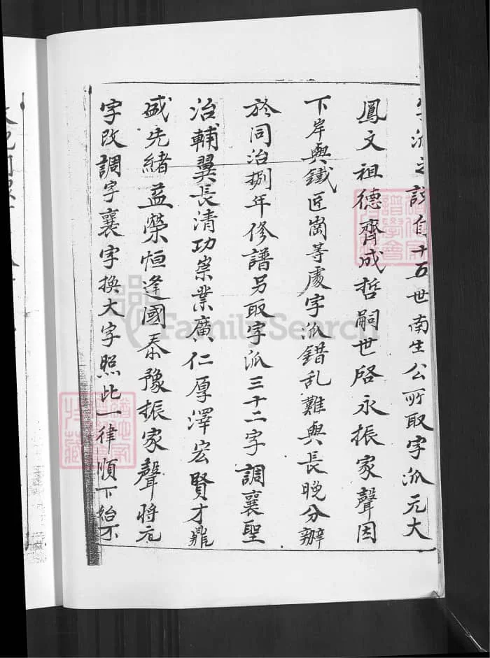 图片[8]-梅氏宗谱（湖北武汉黄陂陂南篇）PDF下载-中华家谱网