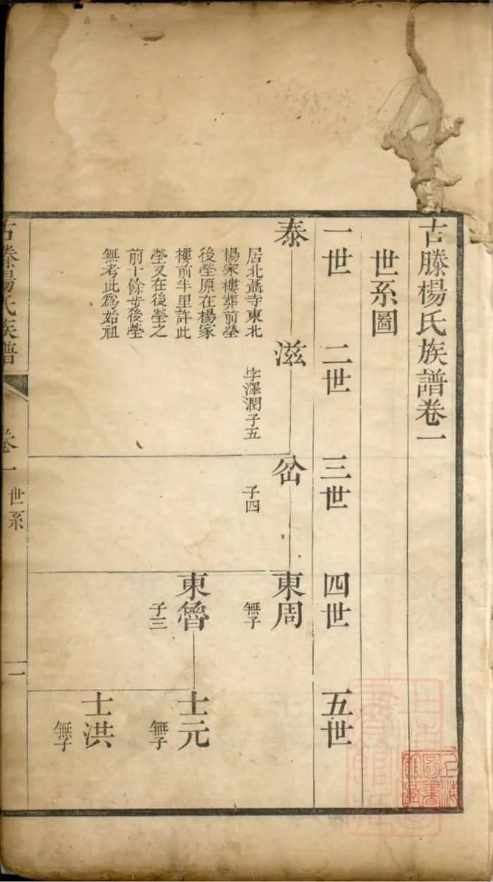 图片[5]-山东滕州古滕杨氏族谱PDF下载-中华家谱网
