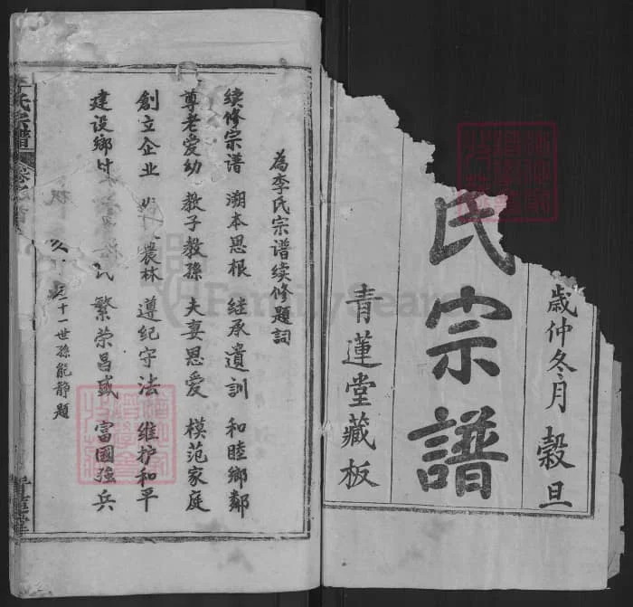 图片[2]-湖北麻城李氏宗谱（青莲堂，92年本）电子版PDF下载-中华家谱网