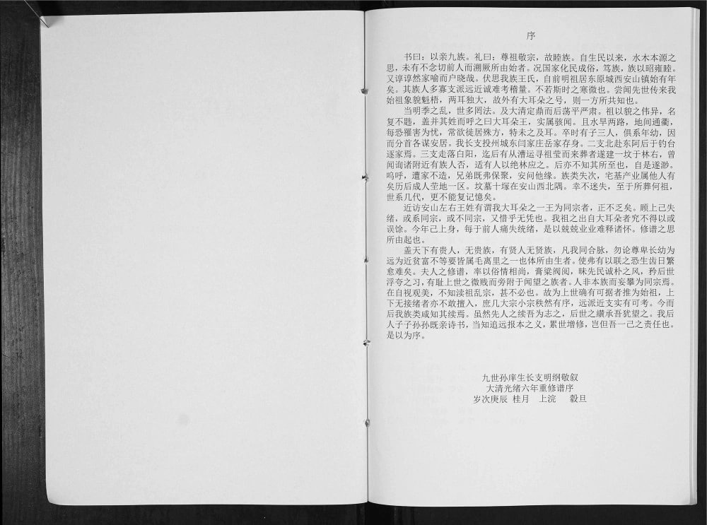 图片[3]-山东泰安东平县王氏族谱电子版PDF下载-中华家谱网