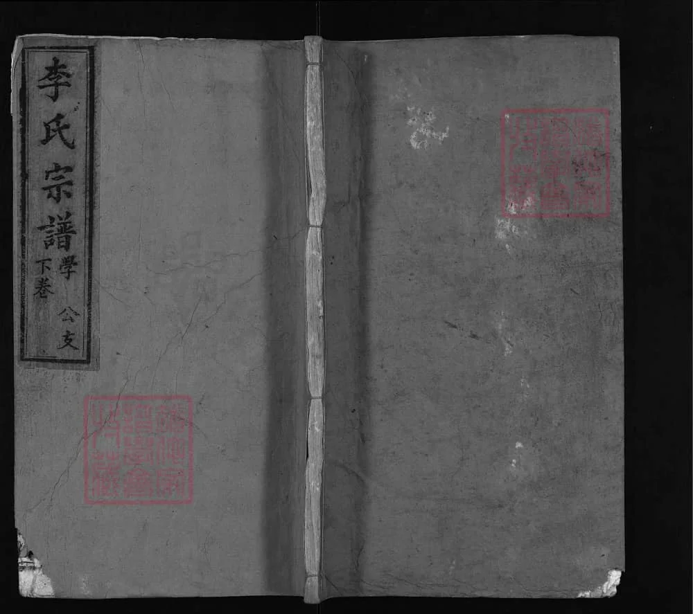湖北麻城李氏宗谱（青莲堂，光绪18年本）电子版PDF下载-中华家谱网