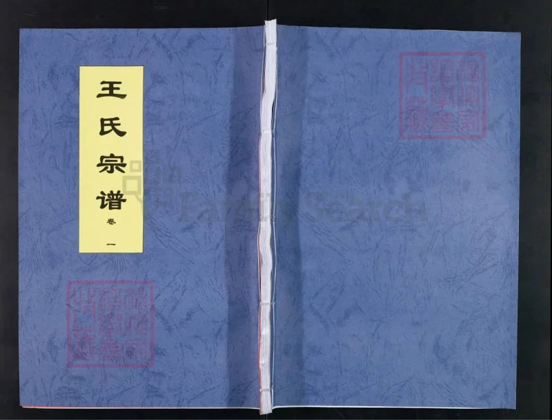 安徽合肥王氏宗谱（三槐堂）-中华家谱网