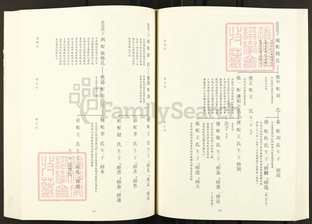 图片[6]-河南巩义王屹崂张氏家谱电子版PDF下载-中华家谱网