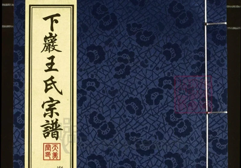 江苏常州武进下岩王氏宗谱（天美堂）-中华家谱网