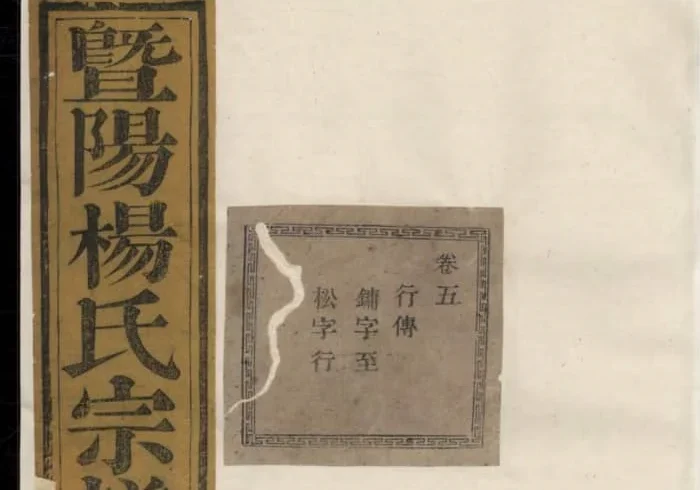 浙江诸暨暨阳杨氏宗谱PDF下载-中华家谱网