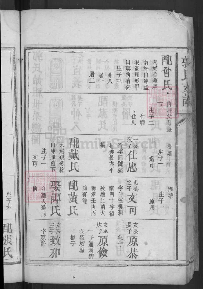 图片[4]-湖南益阳郭氏宗谱竹轩公支谱（尊睦堂）电子版PDF下载-中华家谱网