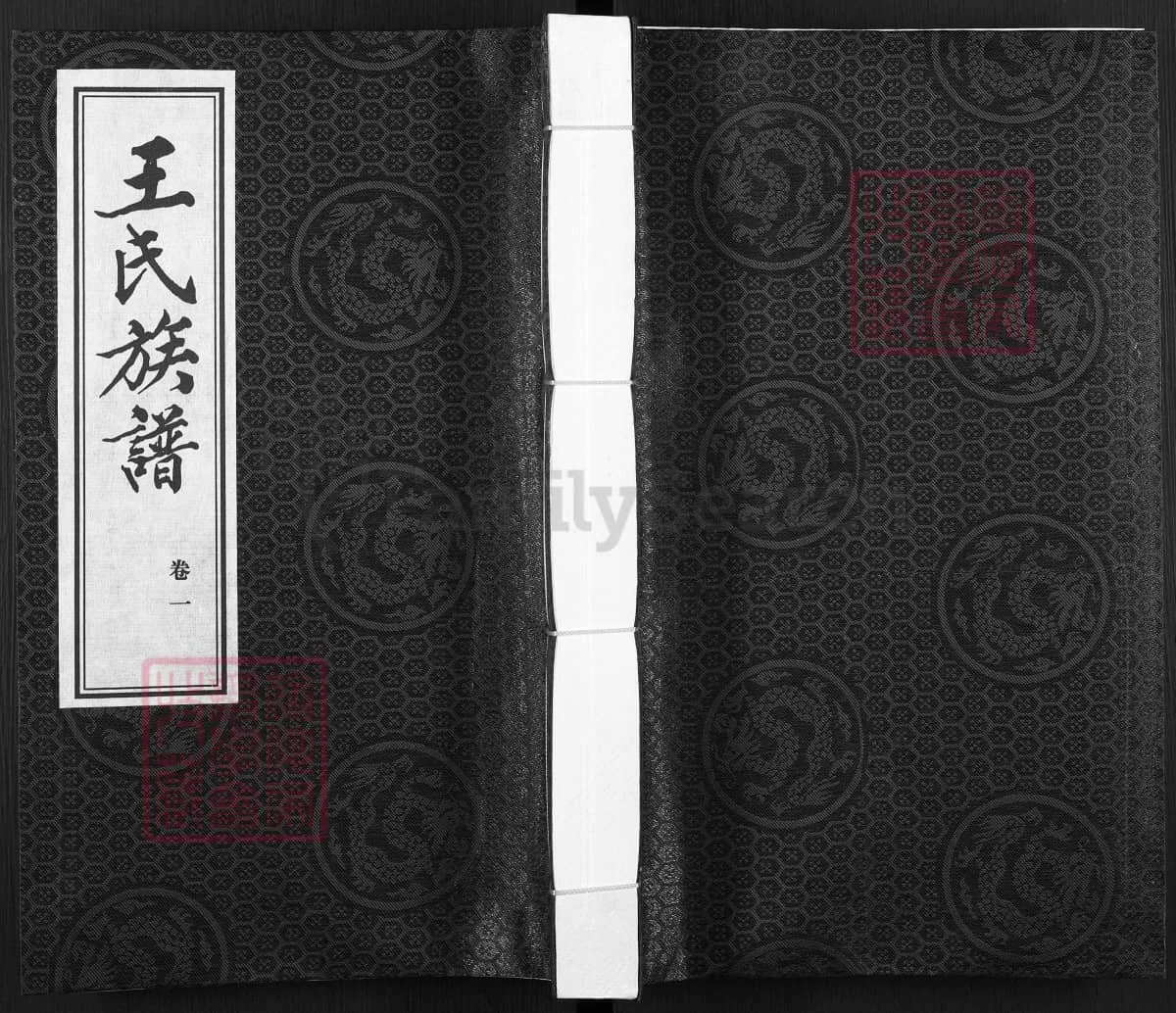 河北邢台宁晋县王氏族谱电子版PDF下载-中华家谱网