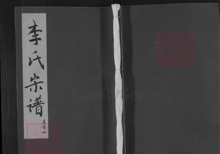 湖北武穴李氏宗谱（敬睦堂）PDF下载-中华家谱网