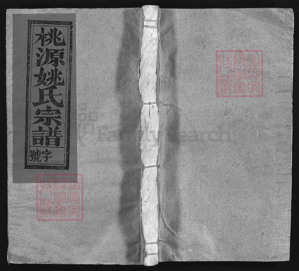 图片[1]-江西上饶桃源姚氏宗谱电子版PDF下载-中华家谱网