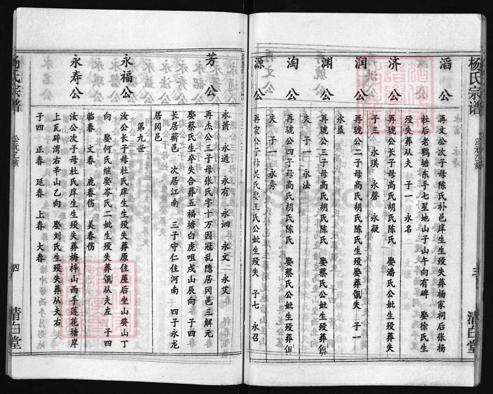 图片[8]-湖北黄冈杨氏八修宗谱（清白堂）电子版PDF下载-中华家谱网