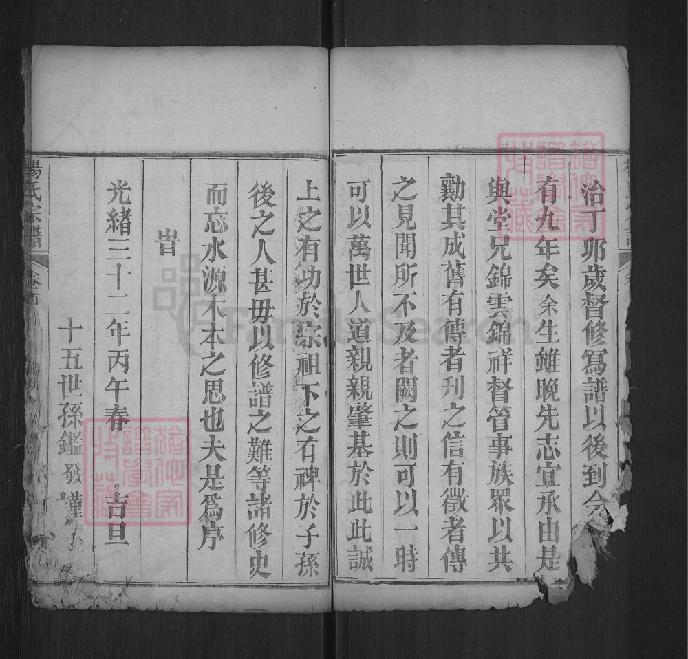 图片[3]-湖北武汉黄陂杨氏宗谱（乐善堂）电子版PDF下载-中华家谱网