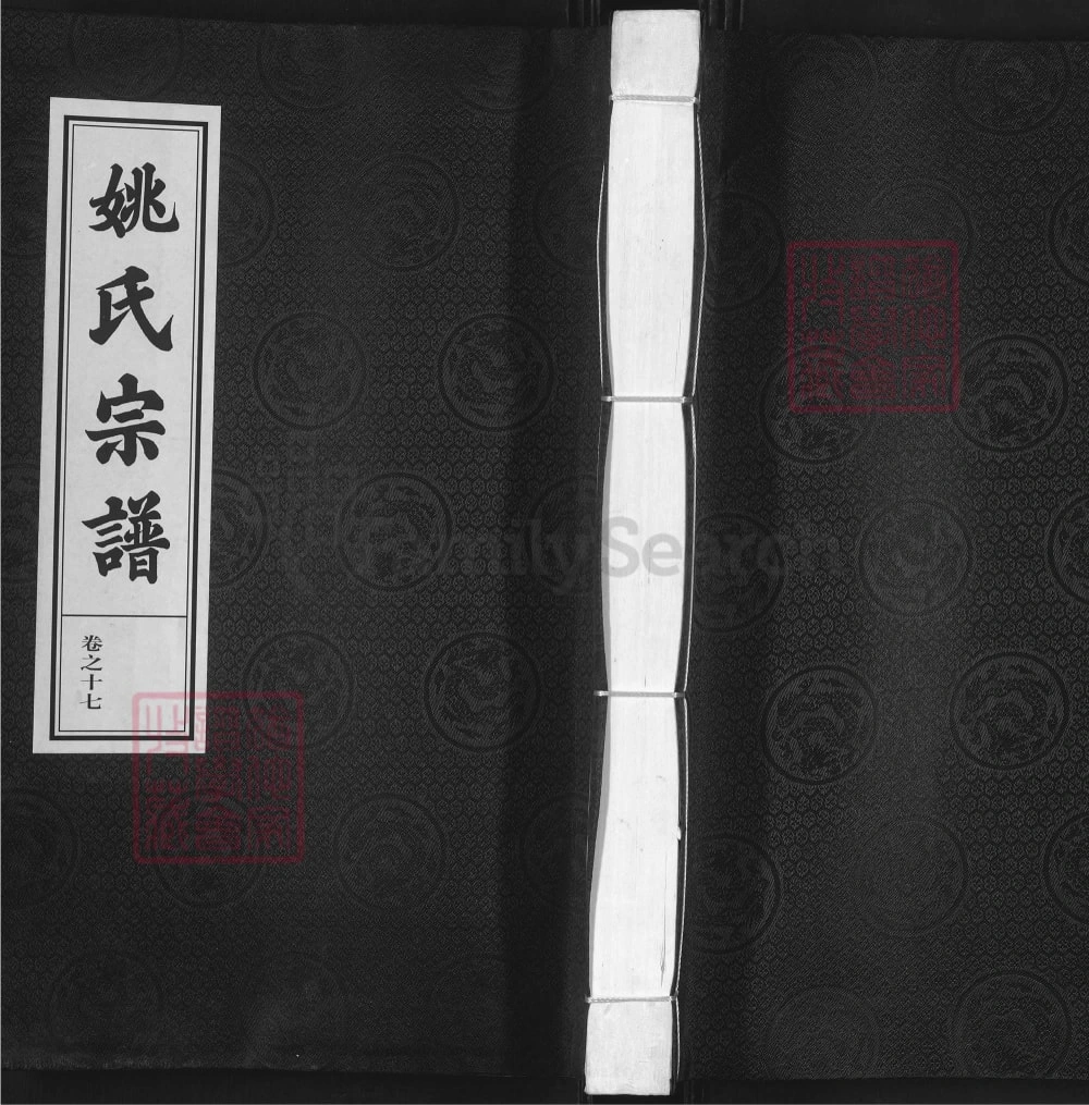 图片[1]-浙江杭州淳安姚氏宗谱（敦睦堂）电子版PDF下载-中华家谱网