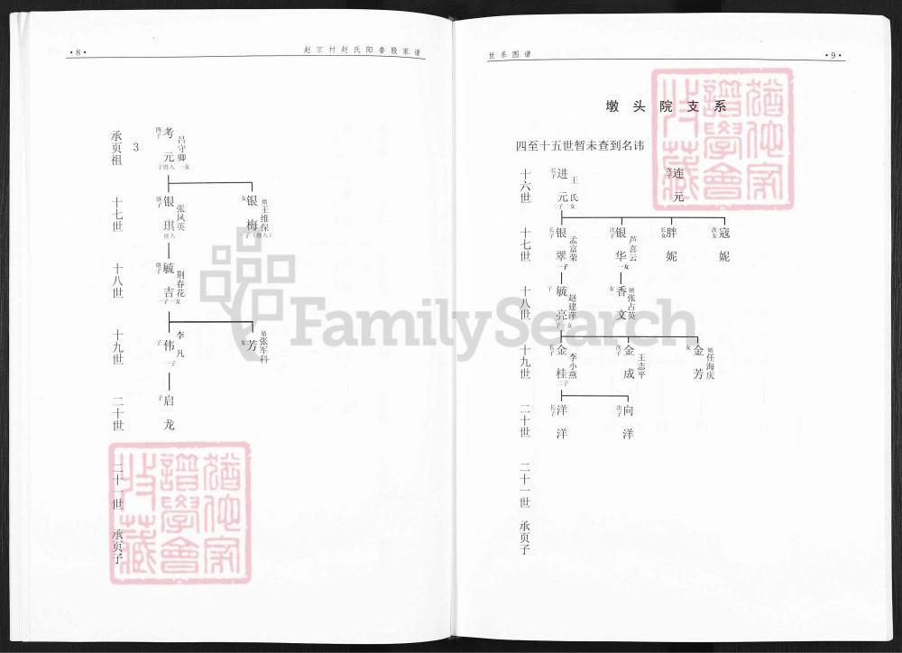 图片[8]-山西阳泉平定县赵氏阳眷股家谱电子版PDF下载-中华家谱网