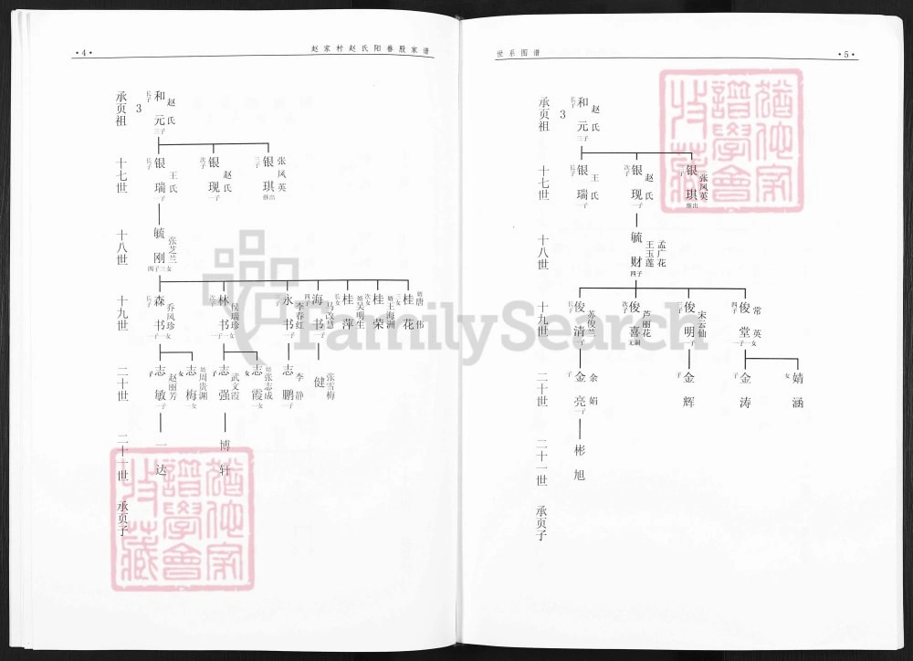 图片[6]-山西阳泉平定县赵氏阳眷股家谱电子版PDF下载-中华家谱网