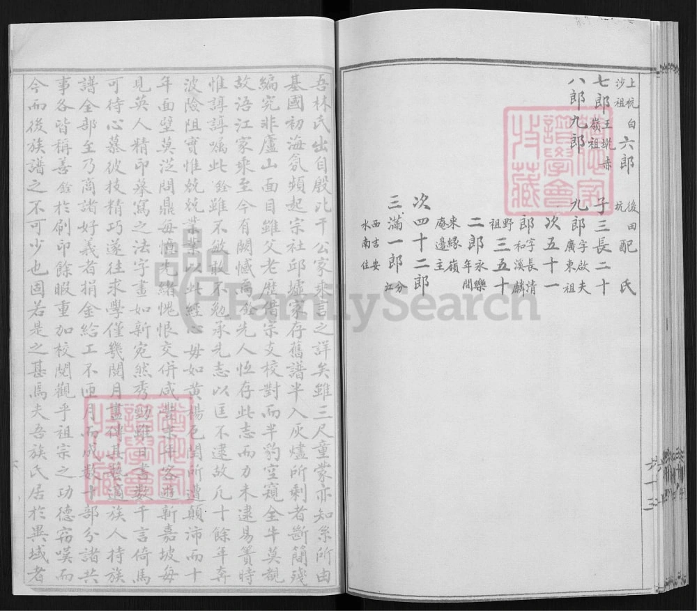 图片[8]-福建三明宁化西河九龙林氏族谱（至善堂）电子版PDF下载-中华家谱网