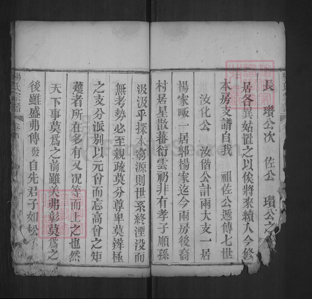 图片[2]-湖北武汉黄陂杨氏宗谱（乐善堂）电子版PDF下载-中华家谱网
