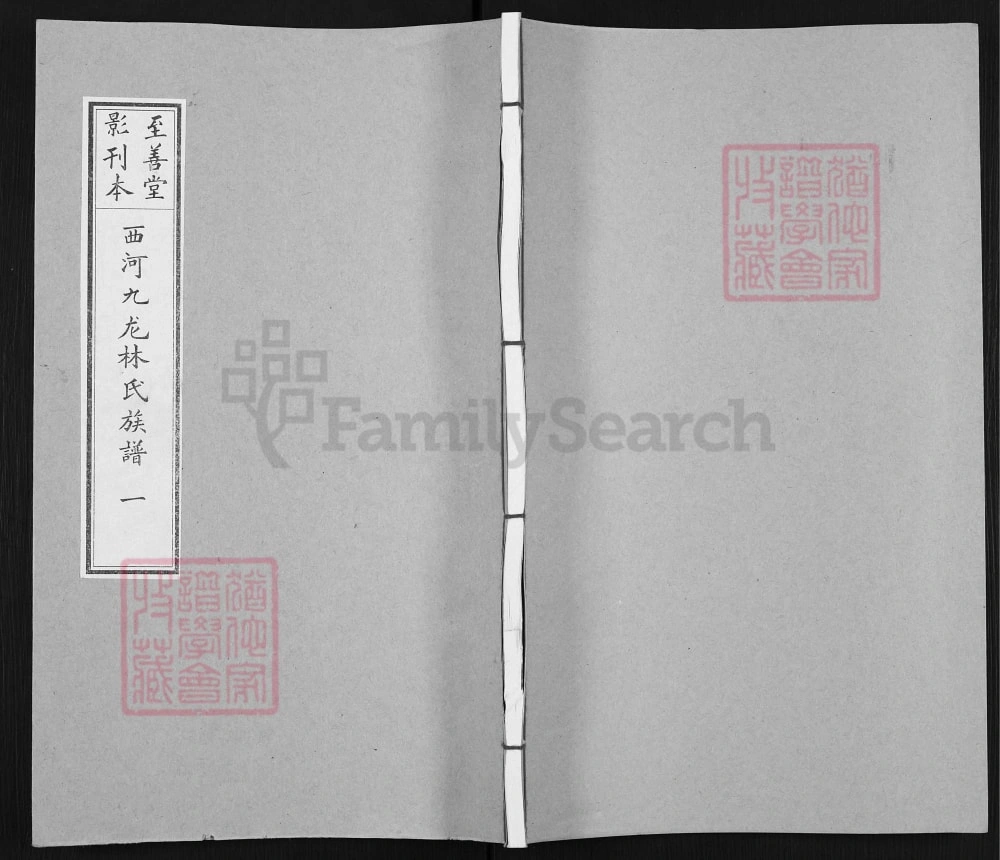 图片[1]-福建三明宁化西河九龙林氏族谱（至善堂）电子版PDF下载-中华家谱网