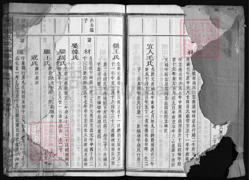 图片[8]-浙江江山南峰杨氏外祠家谱（永思堂）电子版PDF下载-中华家谱网