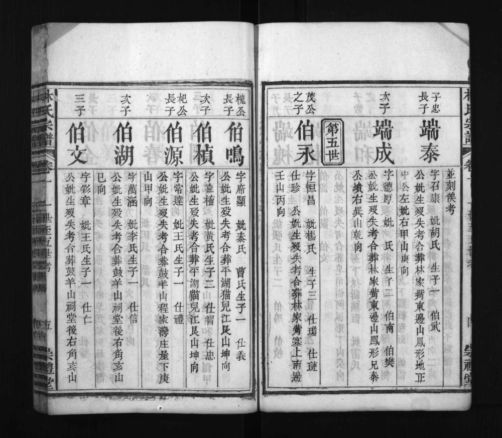 图片[8]-湖北黄冈罗田林氏五修宗谱（崇礼堂）电子版PDF下载-中华家谱网