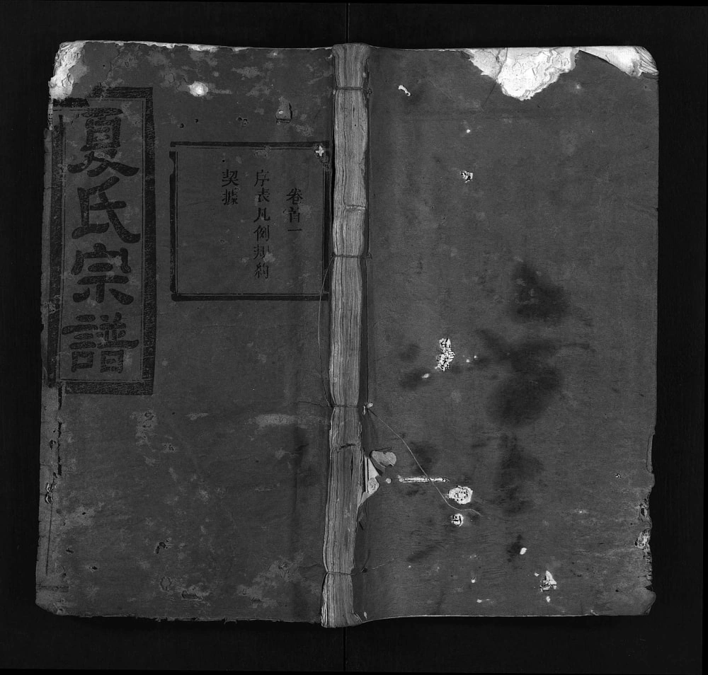 图片[1]-湖北麻城麻邑牌楼河夏氏宗谱（尚忠堂）电子版PDF下载-中华家谱网