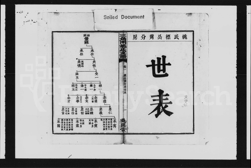 图片[4]-湖南益阳资阳姚氏三角门支谱（吴兴堂）电子版PDF下载-中华家谱网